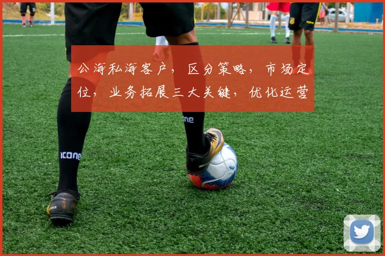 公海私海客户，区分策略，市场定位，业务拓展三大关键，优化运营策略