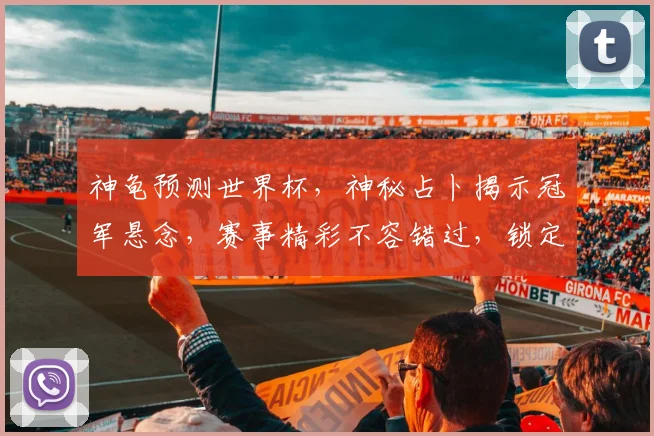 神龟预测世界杯，神秘占卜揭示冠军悬念，赛事精彩不容错过，锁定焦点
