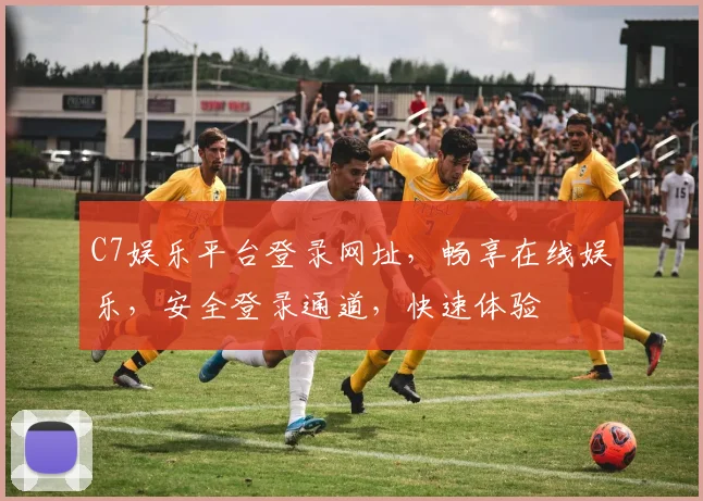 C7娱乐平台登录网址，畅享在线娱乐，安全登录通道，快速体验