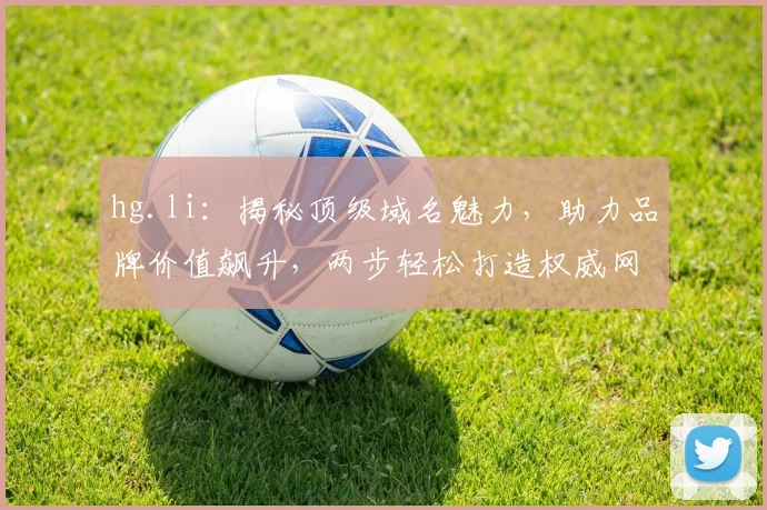 hg.li：揭秘顶级域名魅力，助力品牌价值飙升，两步轻松打造权威网站